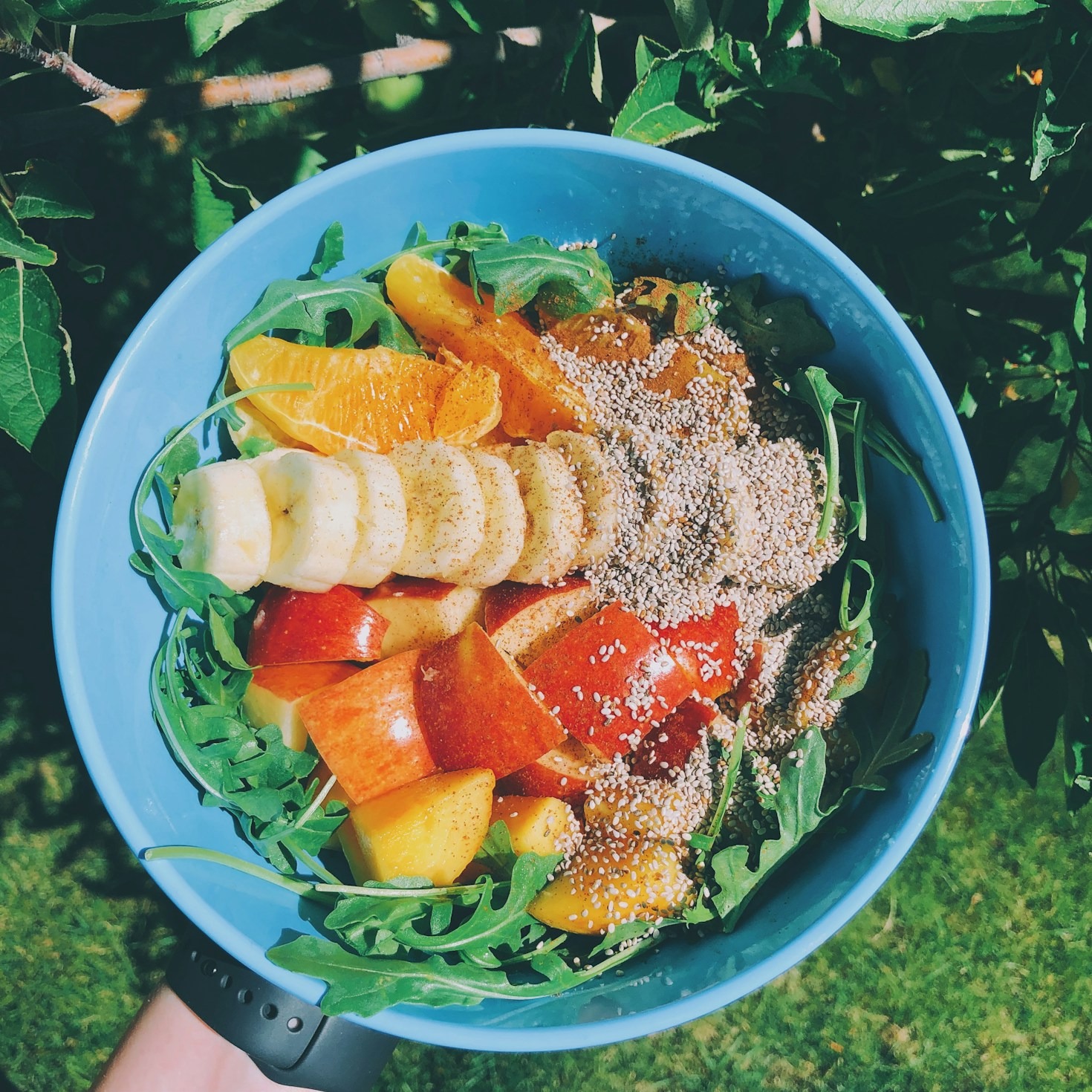 The Future Of Holistic Wellness And Nutrition